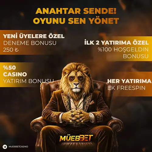 Galeri 1126 1772561045 0