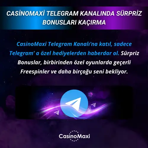 Galeri 556 1774016568 0